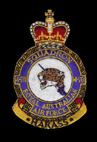 Squadron emblem