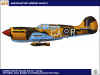 GAR_Curtiss_Kittyhawk_Mk_III.jpg (175097 bytes)